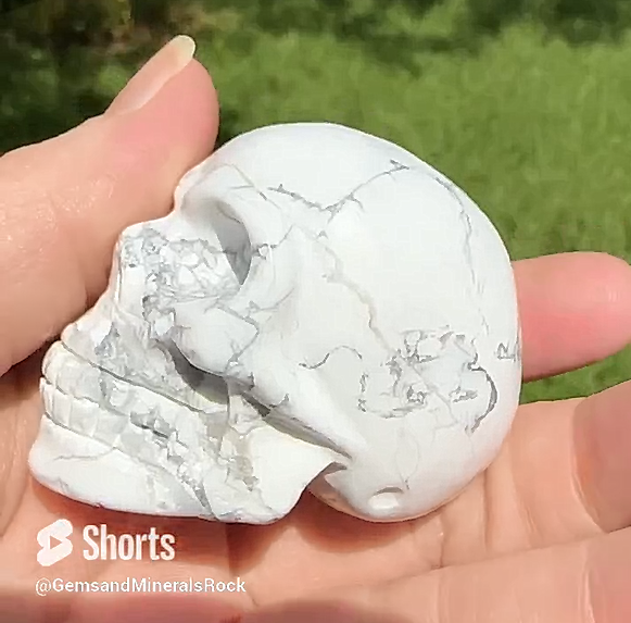 Natural Howlite Skull