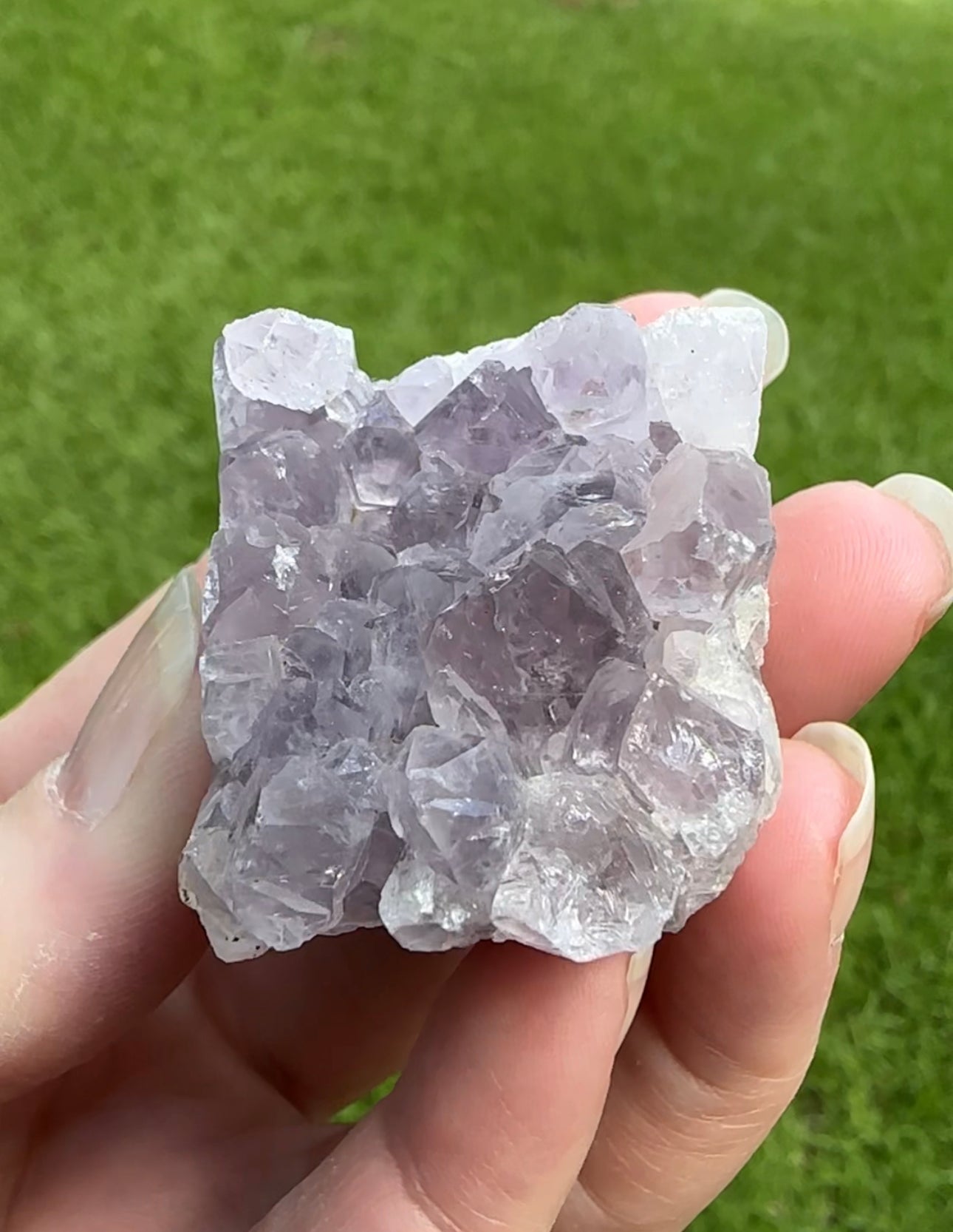 Amethyst Cluster Specimen #3