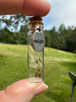 Glass Vial Wish Pendant