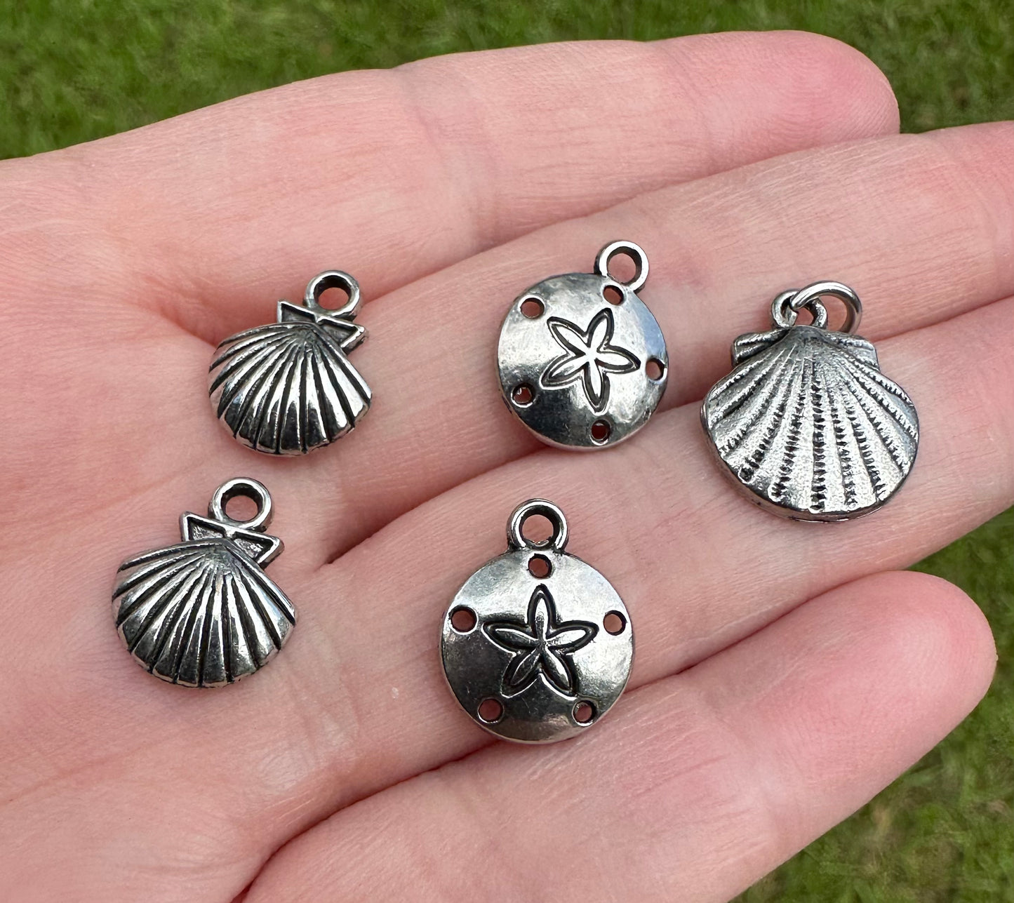 Set of (5) Sand Dollar/Shell Pendants