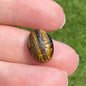 Tiger Eye Scarab 14x10mm Oval 5.70ct