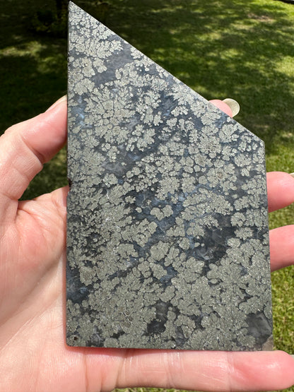 Free Form Pyrite Flowers Symbiosis Mixed Agate Slab #2