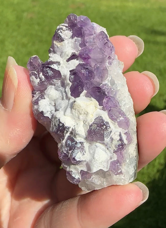 Amethyst Cluster Specimen #8