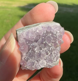 Amethyst Cluster Specimen #26