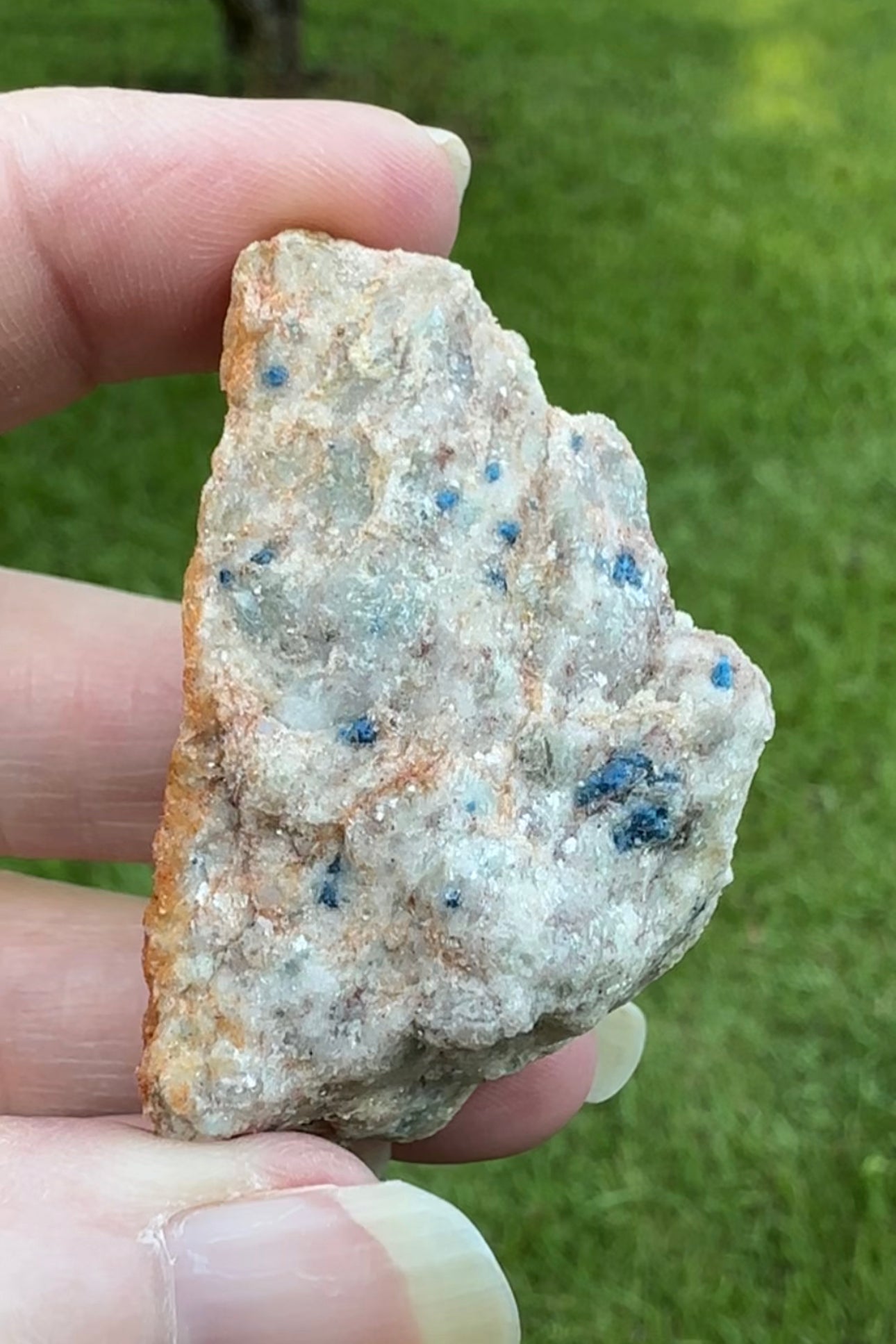 Lazulite, Kyanite Specimen, Graves Mountain #20