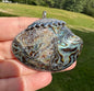 Abalone Shell Pendant