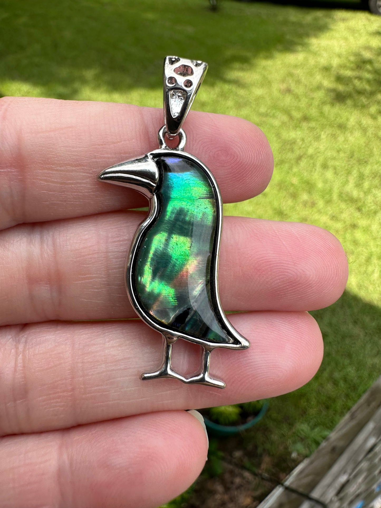 Abalone Sea Bird Pendant