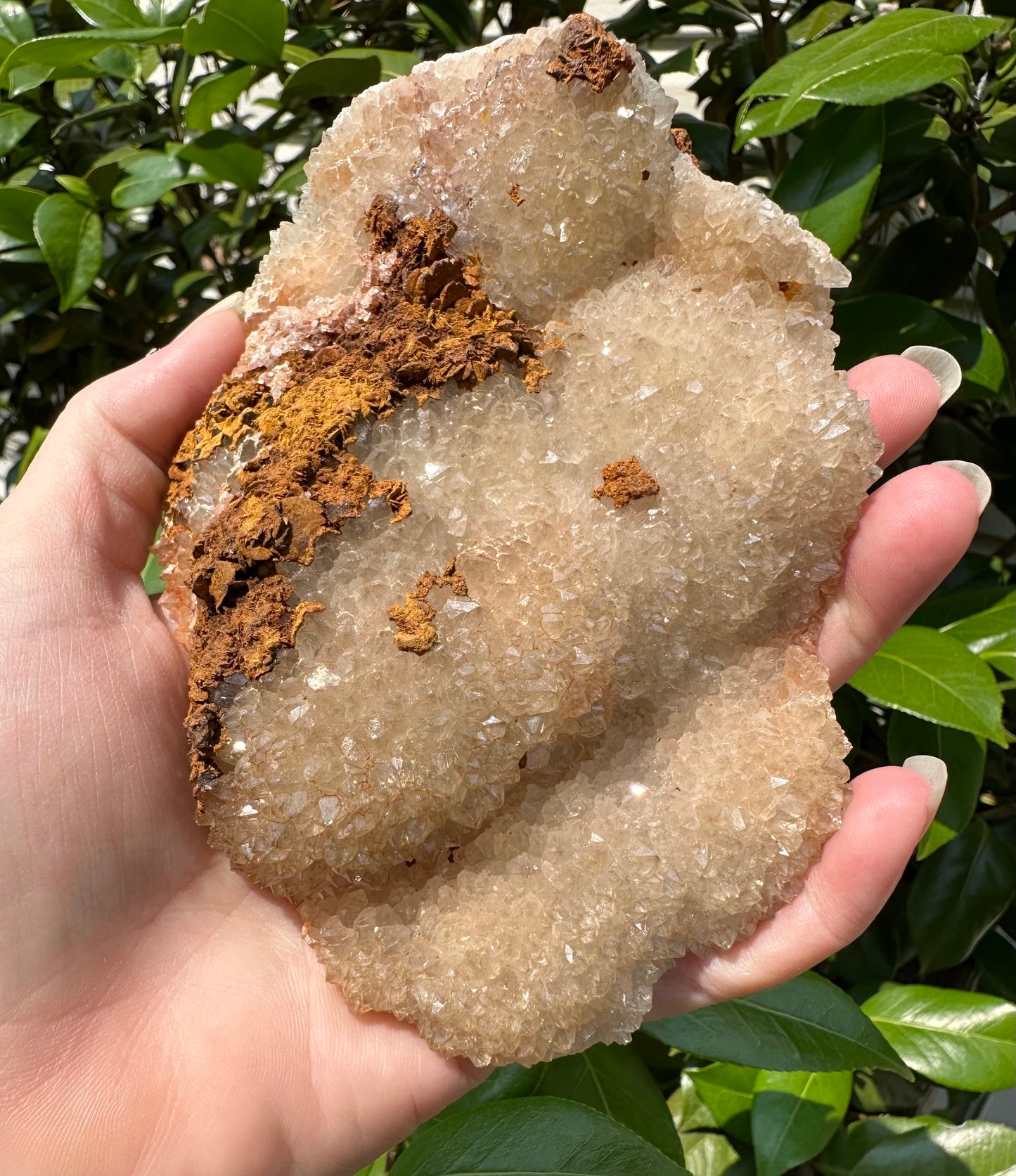 Haunted Ridge Rocks Missouri Druzy Quartz #32