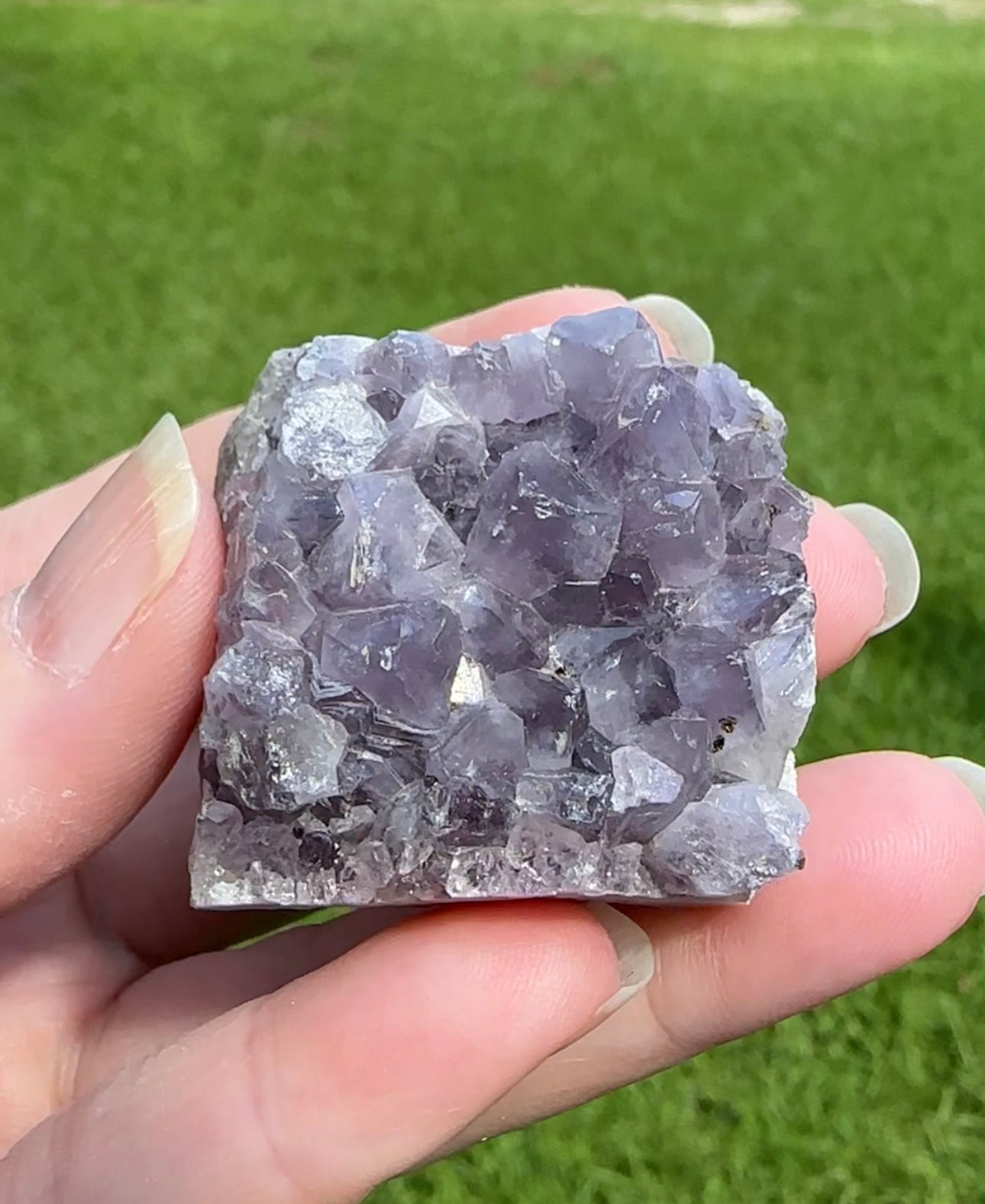 Amethyst Cluster Specimen #2