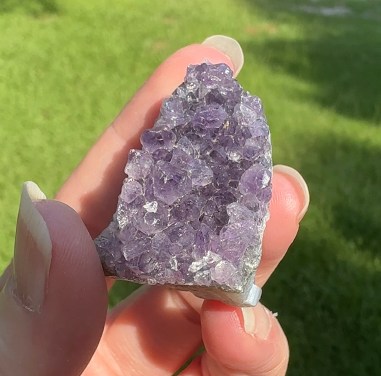 Amethyst Cluster Specimen #18