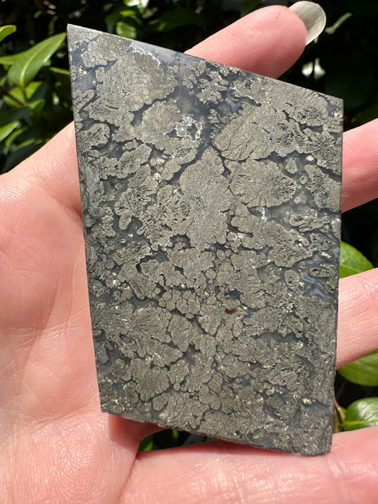 Free Form Pyrite Flowers Symbiosis Mixed Agate Slab #4