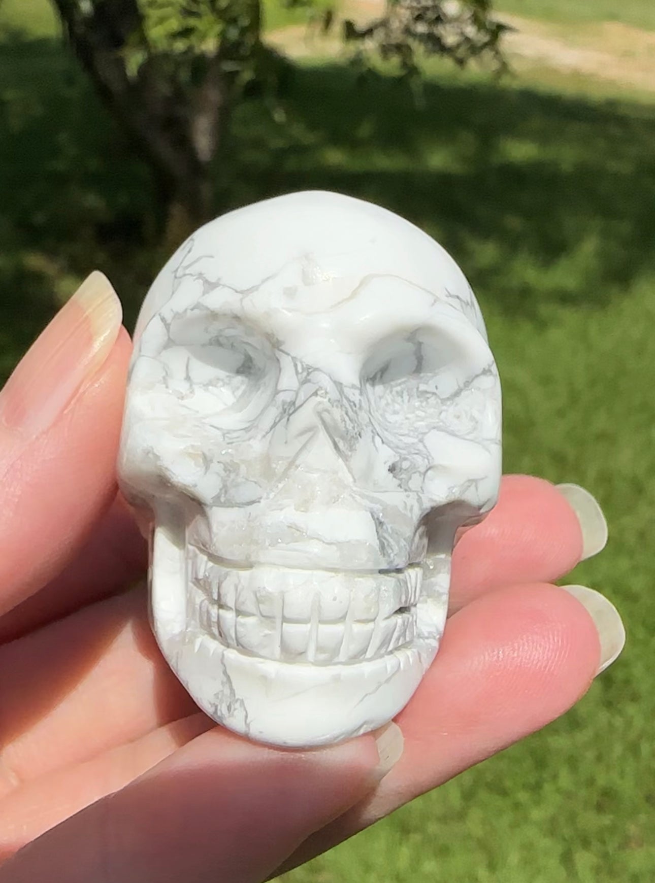 Natural Howlite Skull