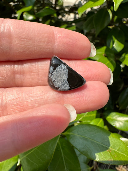 Snowflake Obsidian Tumble