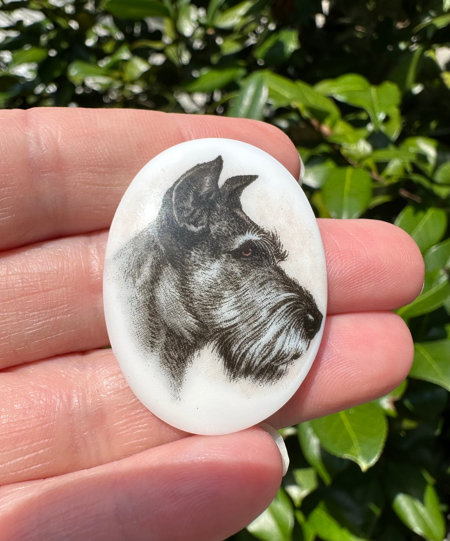 Dog Cabochon #2