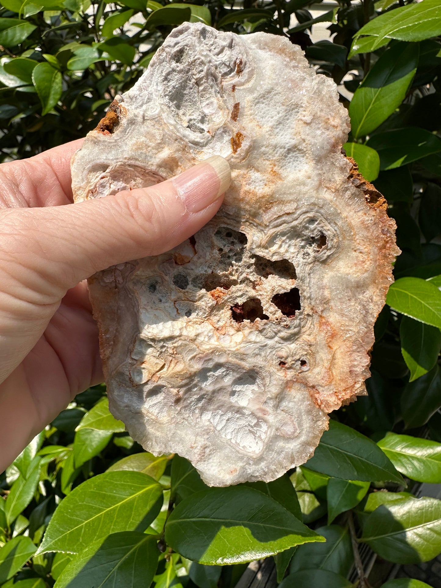 Haunted Ridge Rocks Missouri Druzy Quartz #32