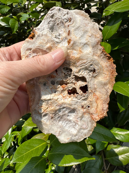 Haunted Ridge Rocks Missouri Druzy Quartz #32