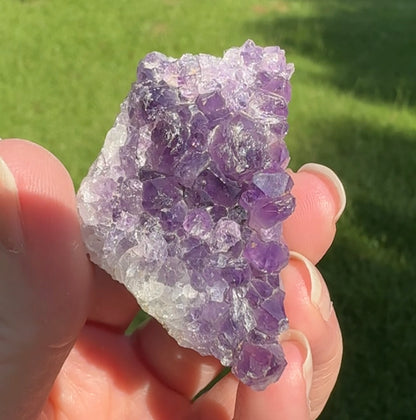 Amethyst Cluster Specimen #19