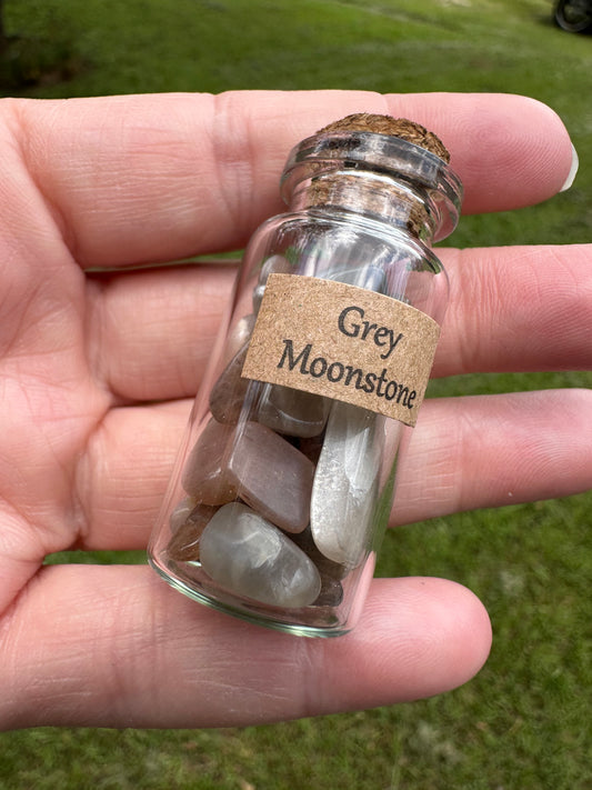 Grey Moonstone Chips In Bottle