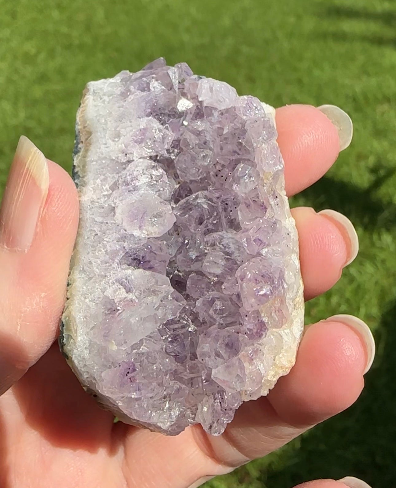 Amethyst Cluster Specimen #7