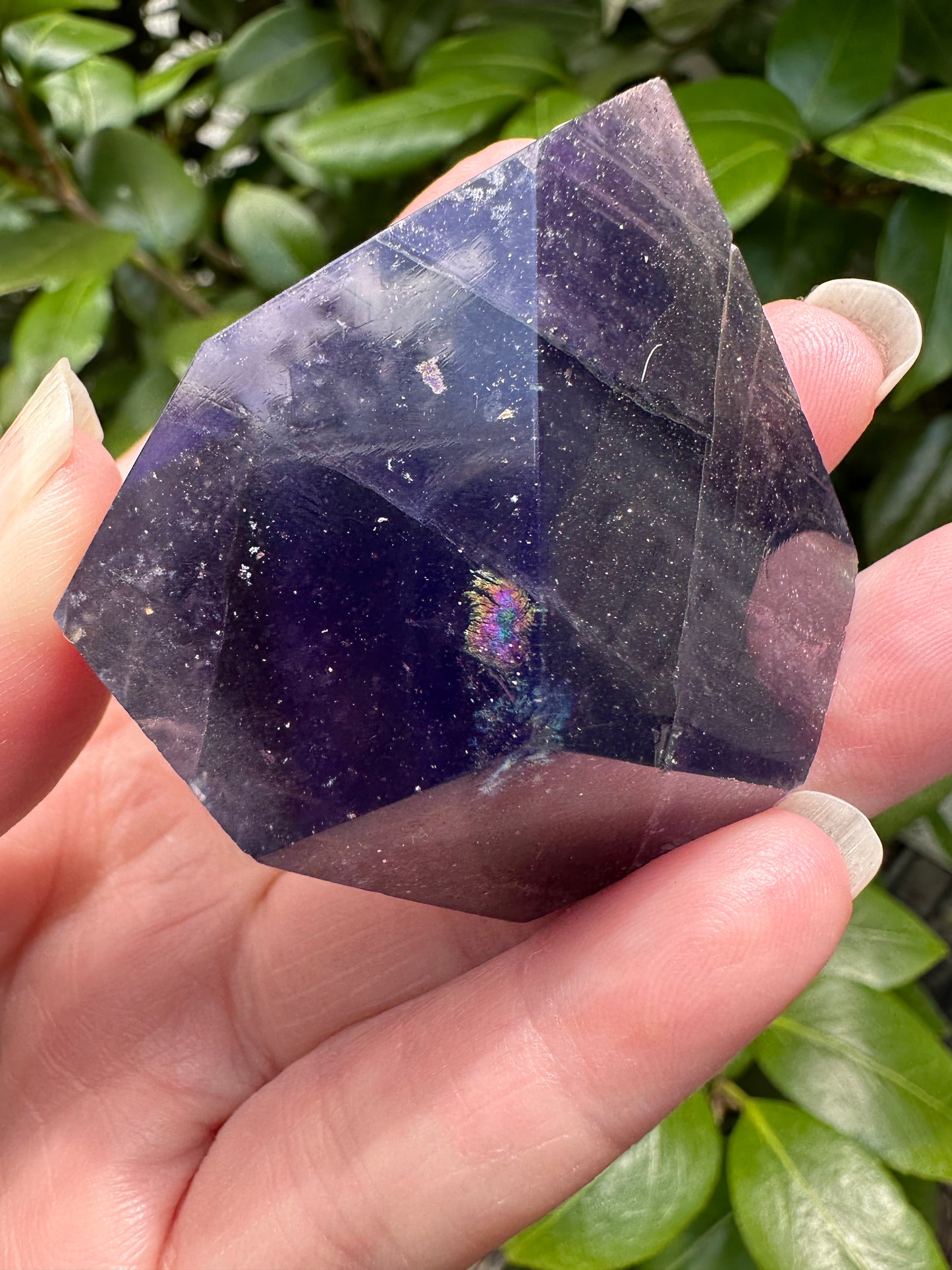 Fluorite Mixed Pyrite Freeform #4