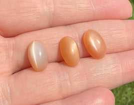 Peach Moonstone 13x8mm Oval