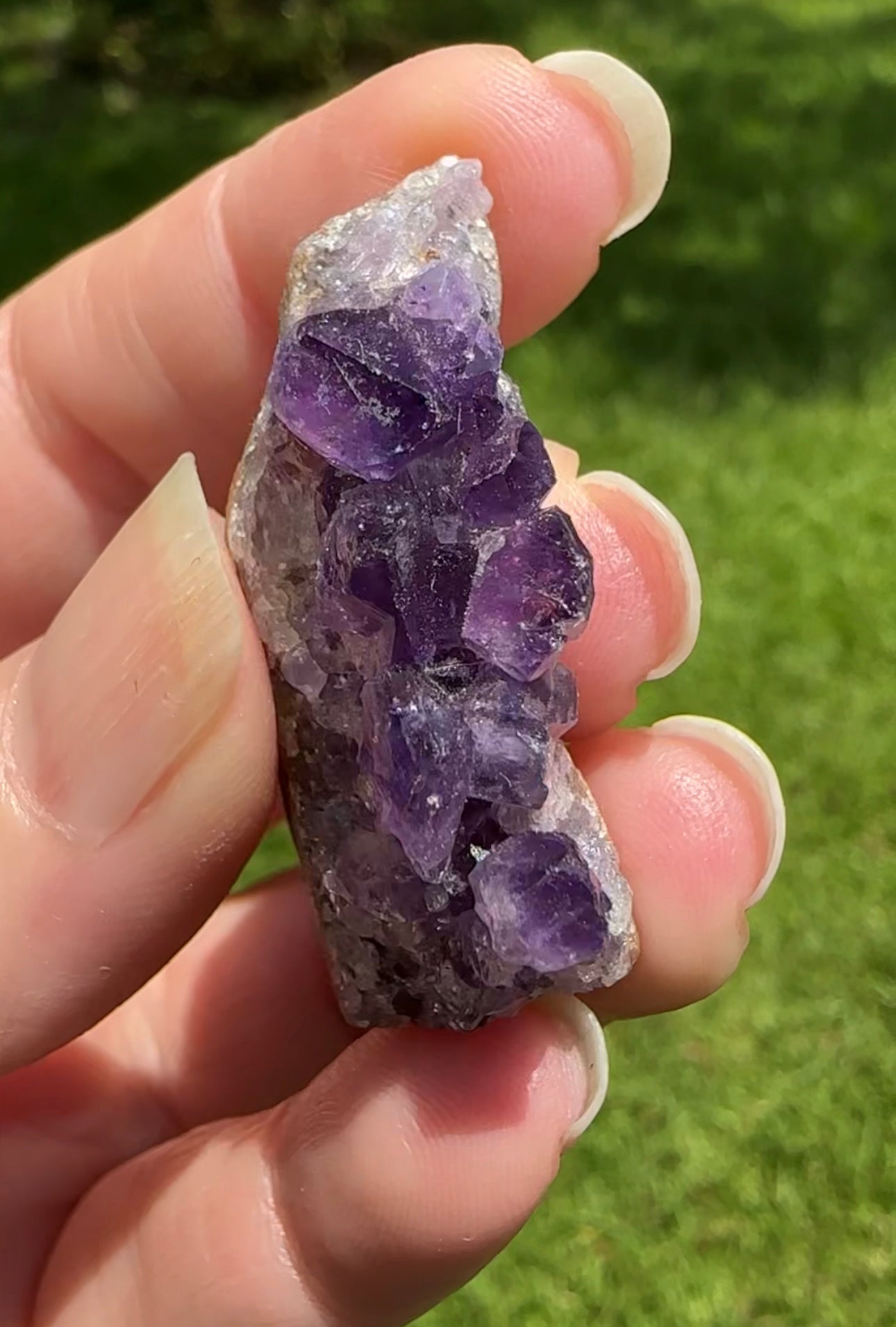 Amethyst Cluster Specimen #12