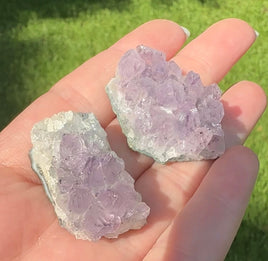 Amethyst Cluster Specimen #29