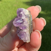 Amethyst Cluster Specimen #25