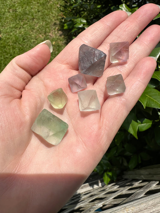 Colorful Fluorite Octahedrons