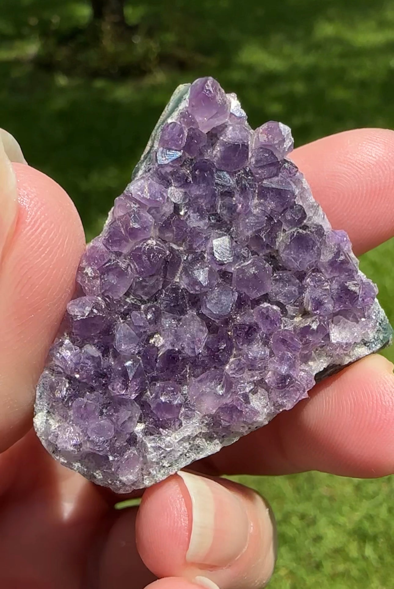 Amethyst Cluster Specimen #11