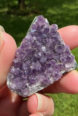 Amethyst Cluster Specimen #11