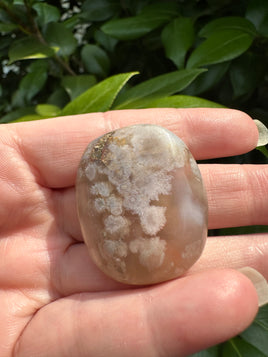 Flower Agate Palm Stone