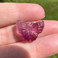 Mini Candy Fluorite Butterfly Carving