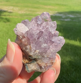 Amethyst Cluster Specimen #21