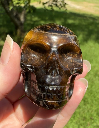 Natural Tiger Eye Skull