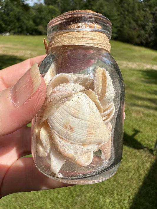 Glass Jar with Shells #2