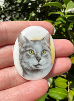 Cat Cabochon