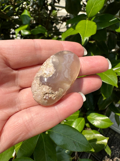 Flower Agate Palm Stone