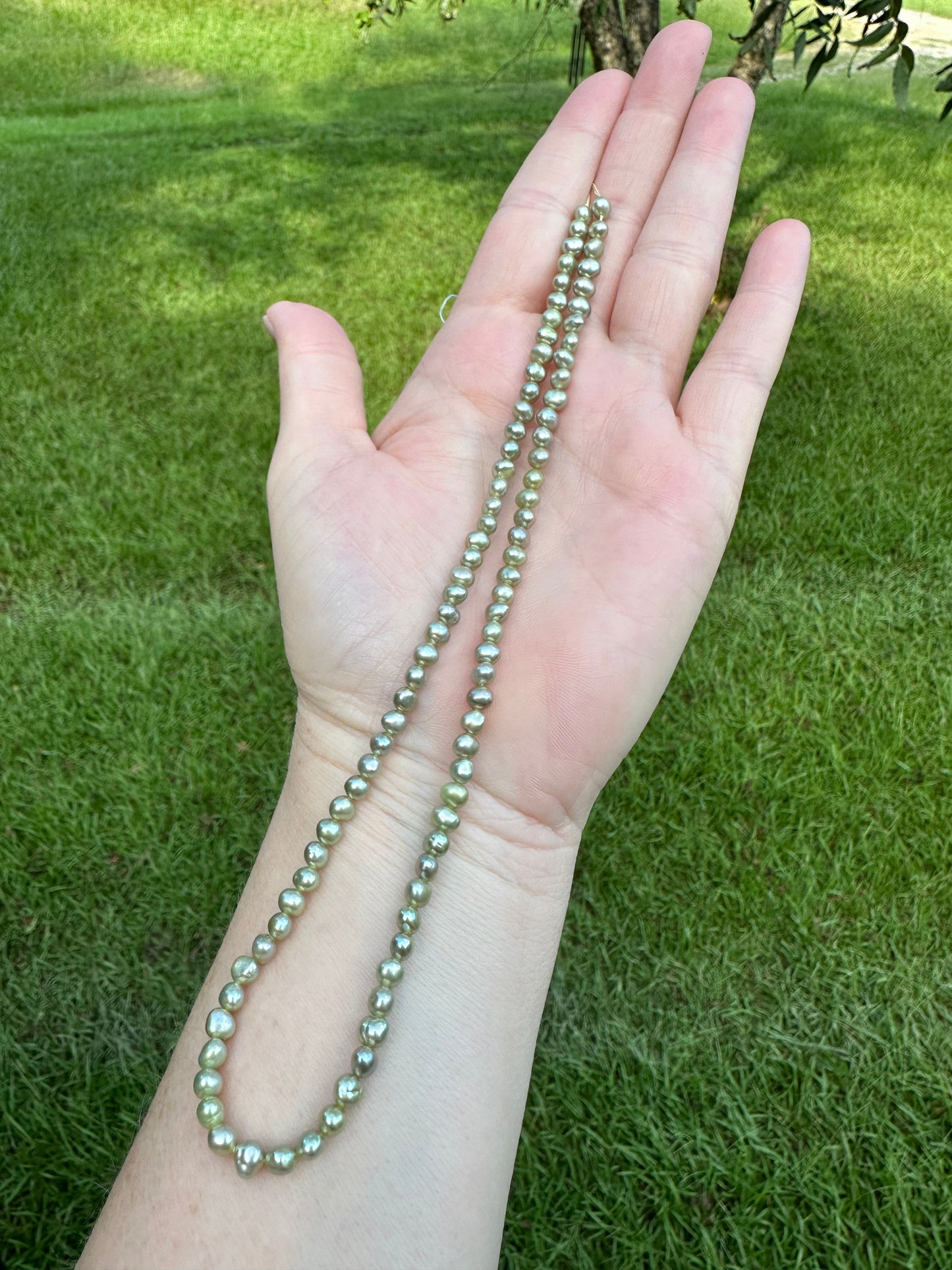 Lime Freshwater Pearl Strand #10