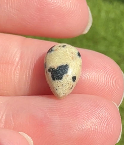 Dalmatian Jasper 12x8mm Pearshape 3.15ct