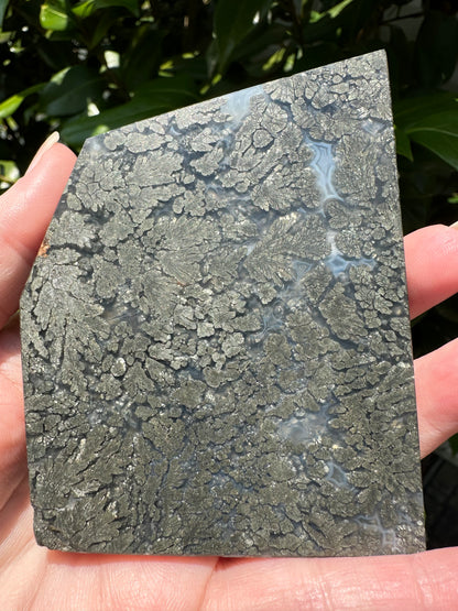 Free Form Pyrite Flowers Symbiosis Mixed Agate Slab #3