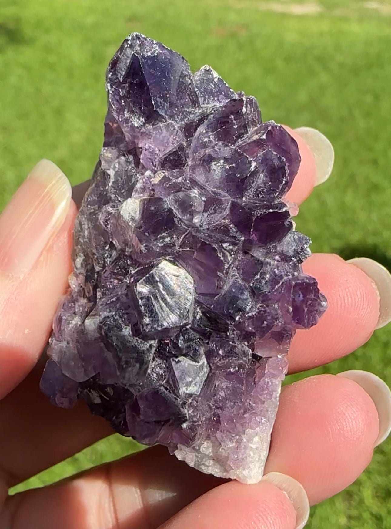 Amethyst Cluster Specimen #1