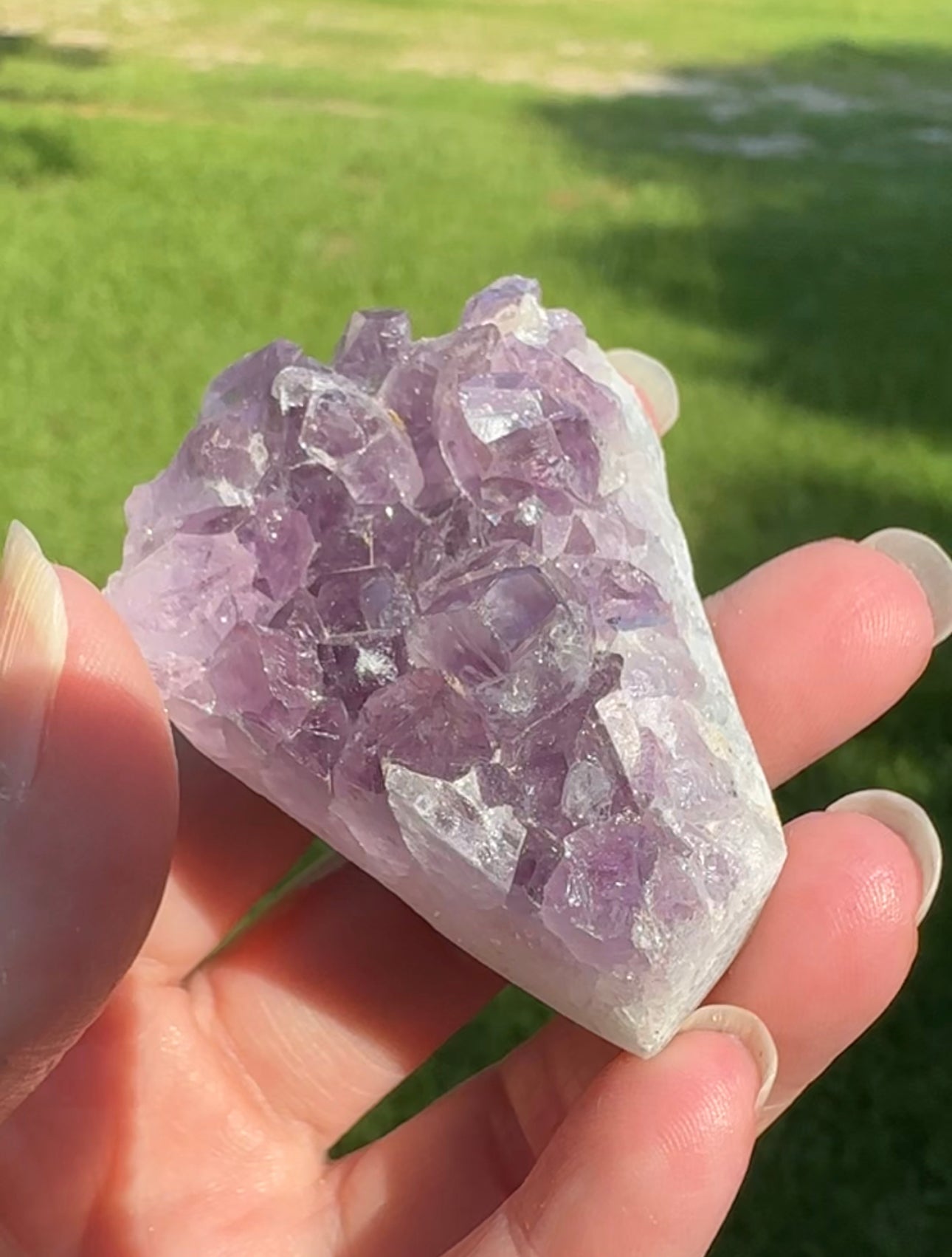 Amethyst Cluster Specimen #17