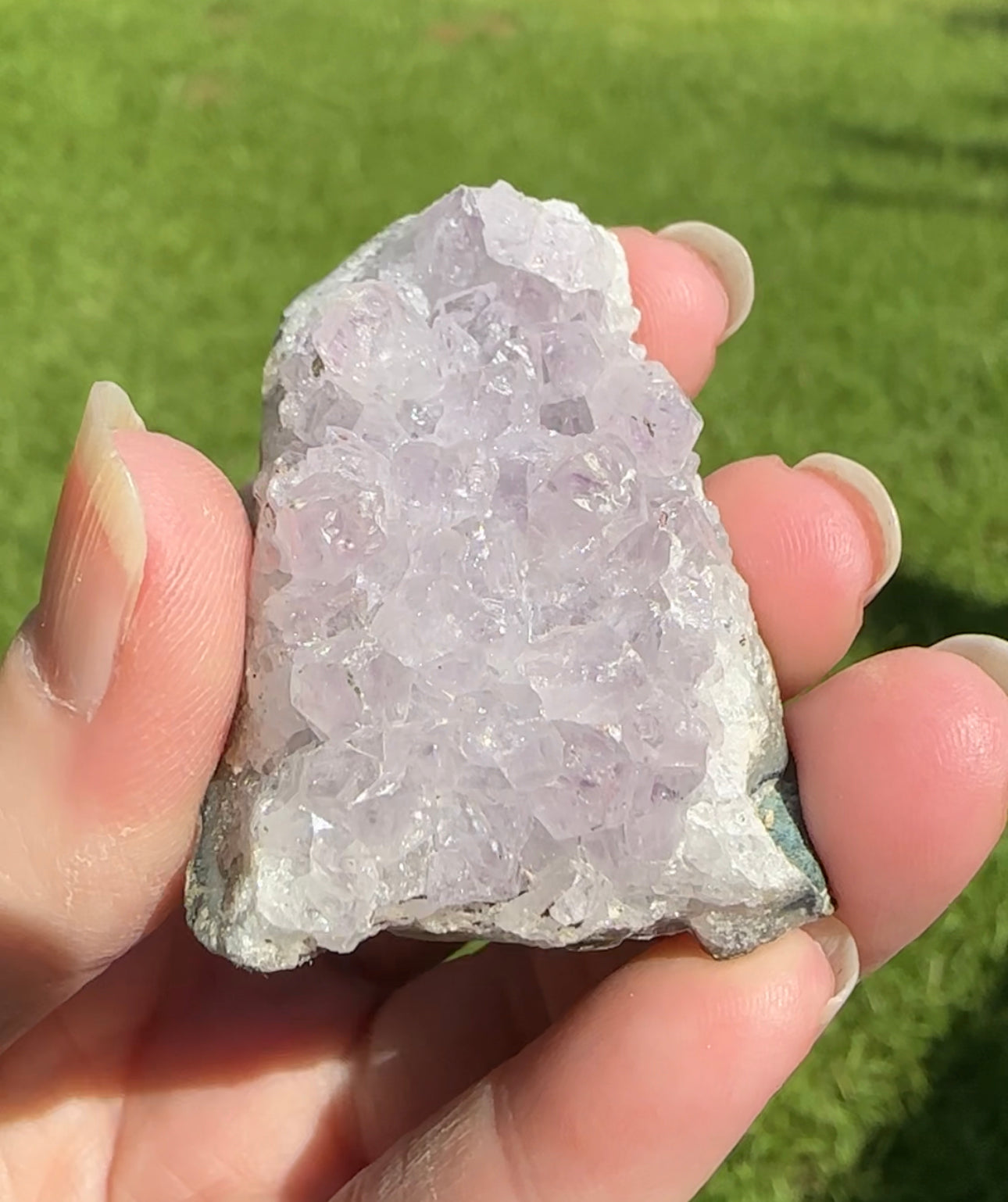 Amethyst Cluster Specimen #10