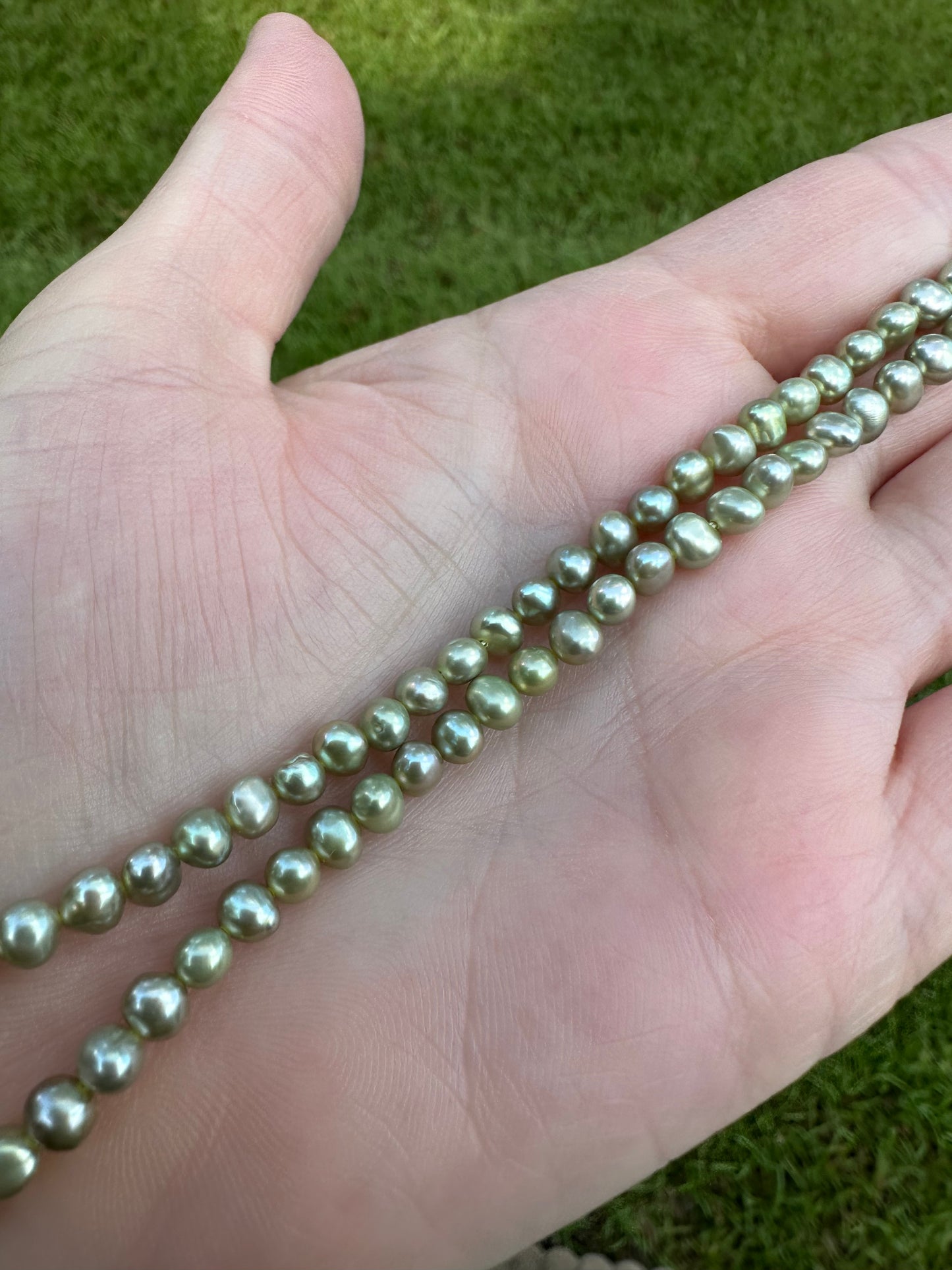 Lime Freshwater Pearl Strand #10