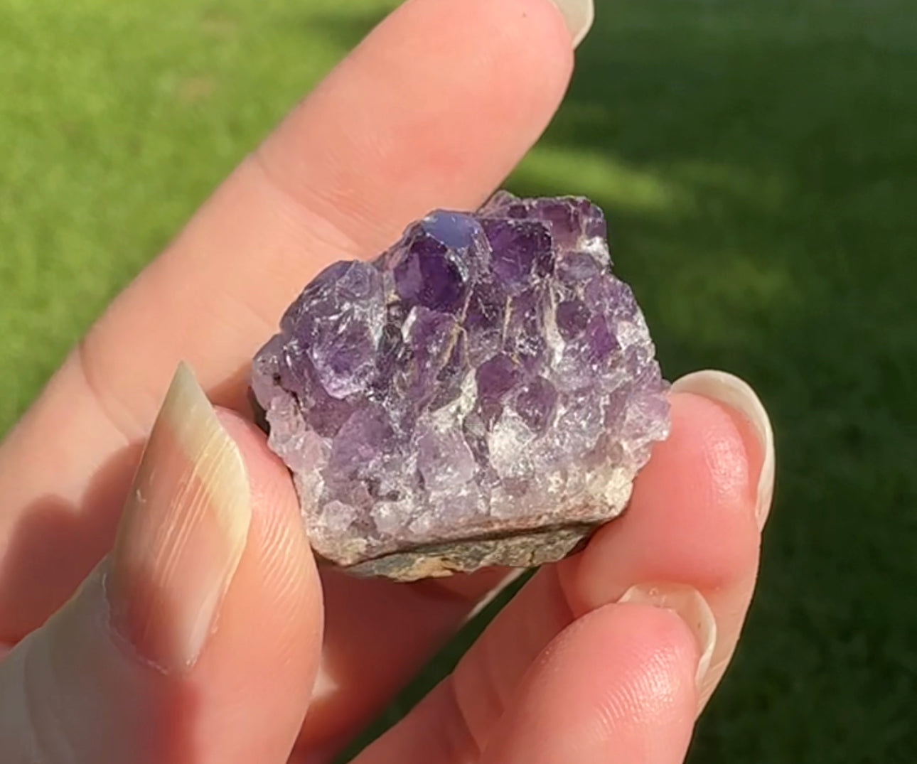 Amethyst Cluster Specimen #28