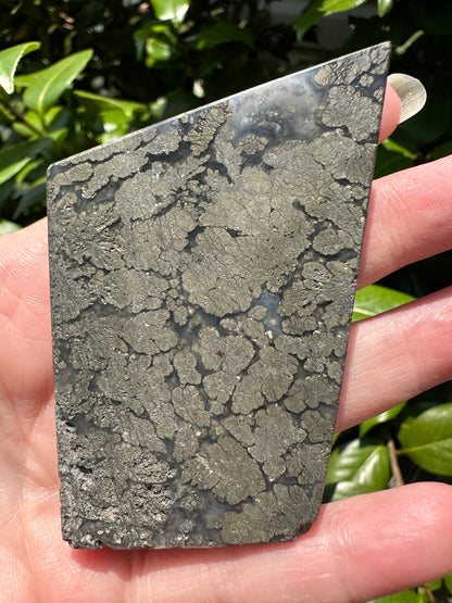 Free Form Pyrite Flowers Symbiosis Mixed Agate Slab #4