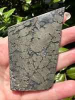 Free Form Pyrite Flowers Symbiosis Mixed Agate Slab #4