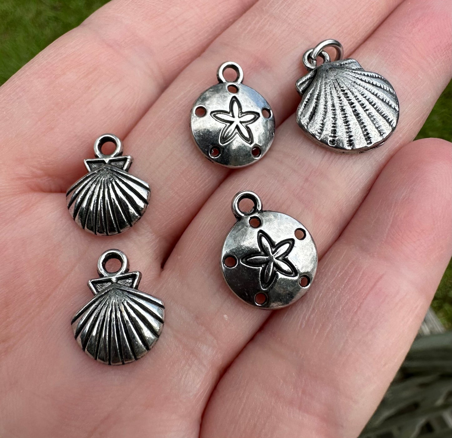 Set of (5) Sand Dollar/Shell Pendants