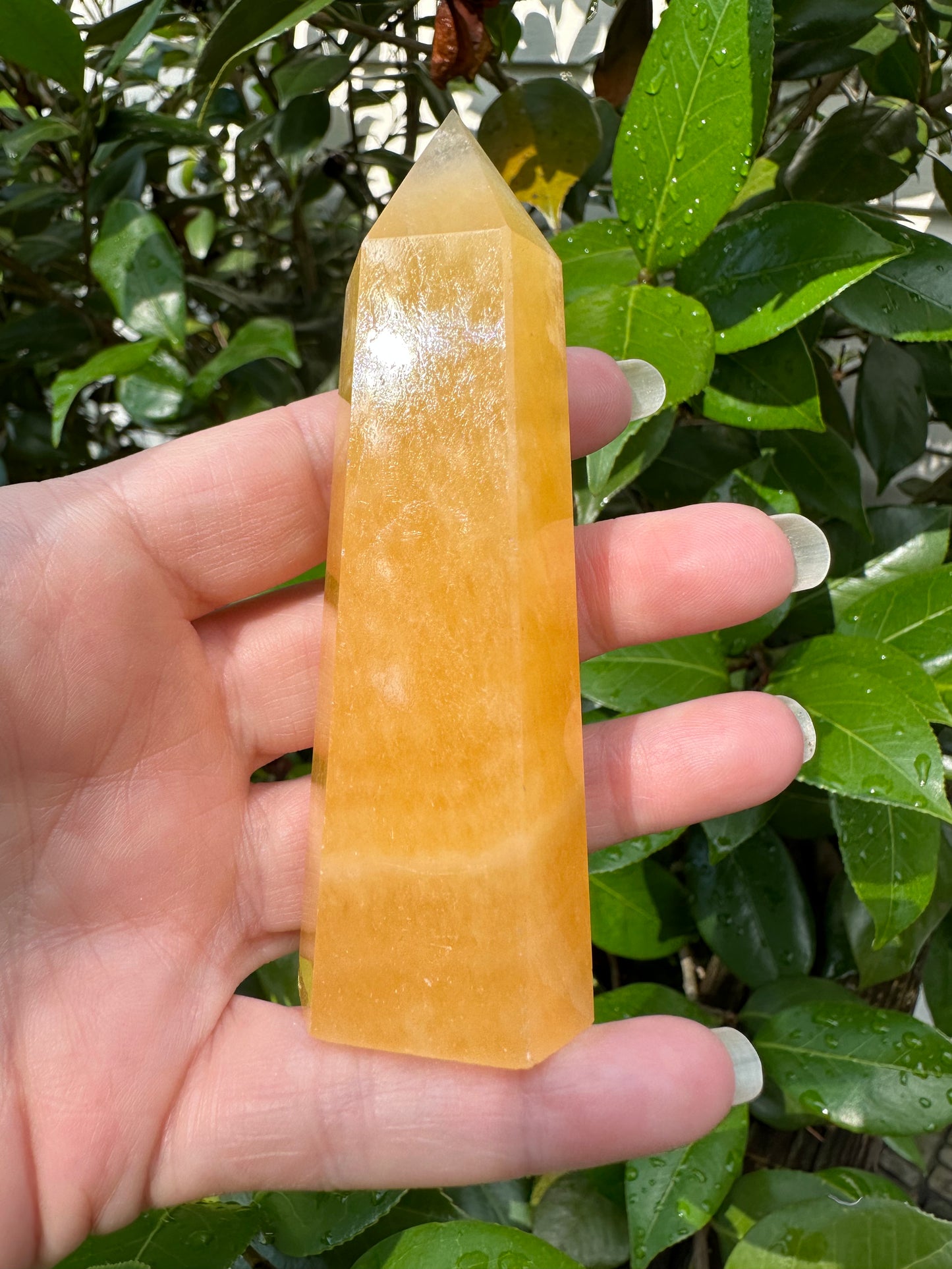 Orange Mexican Calcite Obelisk Tower #3